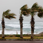 Hurricane Season Has Begun: Is Your Firm Properly Protected?