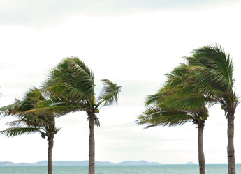 Preparing for Hurricane Season