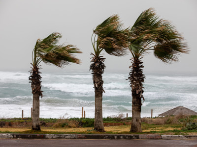 Hurricane Season Has Begun: Is Your Firm Properly Protected?